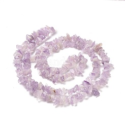 Natural Lavender Amethyst Chip Bead Strands&nbsp;G-M205-35-1