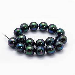 Electroplate Shell Pearl Beads Strands&nbsp;BSHE-F013-04