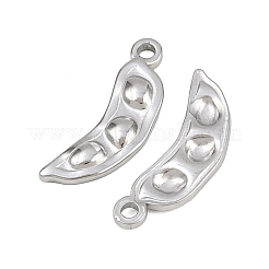 304 Stainless Steel Pendants&nbsp;STAS-L303-09P