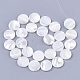 Trochus Shell Beads Strands&nbsp;SHEL-T016-11-2