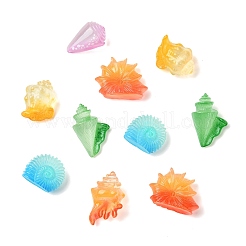 30Pcs 6 Styles Luminous Resin Conch Display Decorations&nbsp;DJEW-CJ0001-37