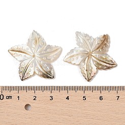 Natural Black Lip Shell Pendants&nbsp;SHEL-R100-10A