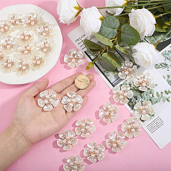 30Pcs Alloy Plastic Imitation Pearl Cabochons&nbsp;FIND-HY0004-99