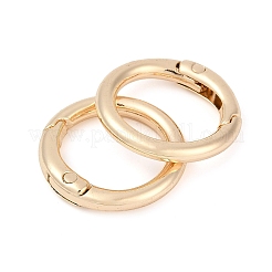 Alloy Spring Gate Clasps&nbsp;FIND-H012-05KCG