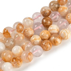 Natural Cherry Blossom Agate Beads Strands&nbsp;G-H062-A02-03