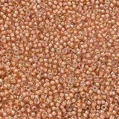 MIYUKI Round Rocailles Beads&nbsp;LS-X-SEED-G007-RR3734