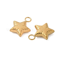 304 Stainless Steel Pendants&nbsp;STAS-K306-13G