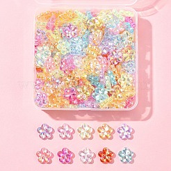 216Pcs Transaparent Acrylic Beads&nbsp;PACR-FS0001-06