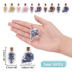 10Pcs Mixed Gemstones Chips in Skull Glass Bottle Display Decorations&nbsp;DJEW-AR0001-08