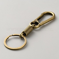 Zinc Alloy Keychain Clasps&nbsp;FIND-WH0139-567AB
