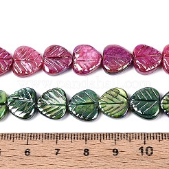 Natural Freshwater Shell Carved Beads Strands&nbsp;SHEL-N038-24