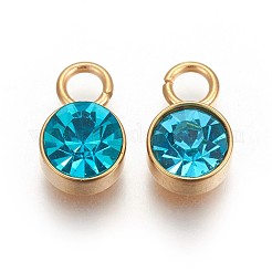 Ion Plating(IP) Glass Rhinestone Charms&nbsp;STAS-F189-B