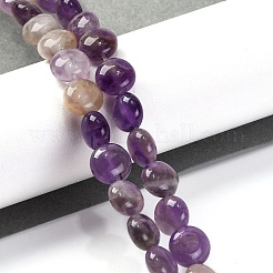 Natural Amethyst Beads Strands&nbsp;G-T047-A04-01