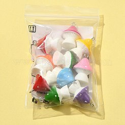 10Pcs Opaque Resin Pendants&nbsp;RESI-FS0001-61