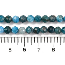 Natural Apatite Beads Strands&nbsp;X-G-F770-C02-02