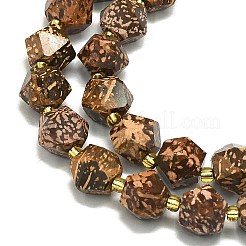 Natural Starburst Jasper Beads Strands&nbsp;G-I376-A60-01