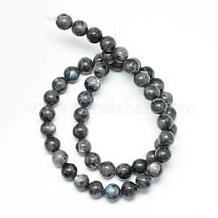 Natural Larvikite Beads Strands&nbsp;G-R345-4mm-33