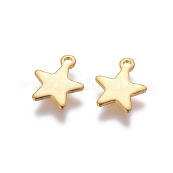 304 Stainless Steel Charms&nbsp;X-STAS-G190-27G-A
