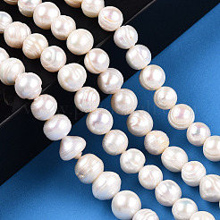Natural Cultured Freshwater Pearl Beads Strands&nbsp;PEAR-S020-F11-01