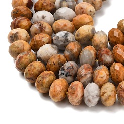 Natural Crazy Agate Beads Strands&nbsp;G-C259-A04-6x10mm