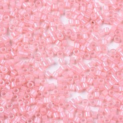 FGB 11/0 Grade A Baking Paint Glass Seed Beads&nbsp;X-SEED-S030-1143