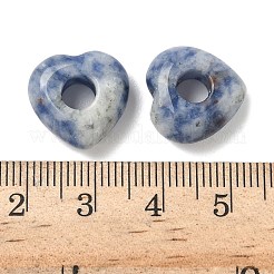 Natural Blue Spot Jasper European Beads&nbsp;G-C252-01B