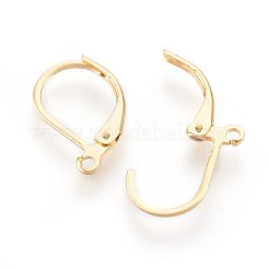 304 Stainless Steel Leverback Earrings Findings&nbsp;STAS-F188-10G
