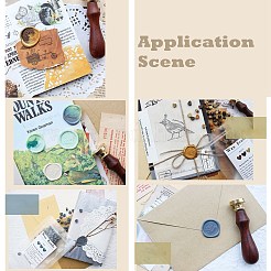 Sealing Wax Particles&nbsp;DIY-K019-15