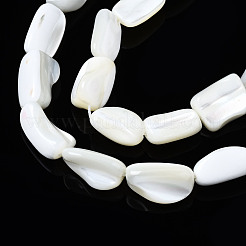 Natural Trochid Shell/Trochus Shell Beads Strands&nbsp;SSHEL-S266-014A