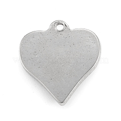 Non-Tarnish 304 Stainless Steel Pendants&nbsp;STAS-F287-51P