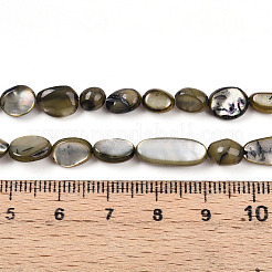 Natural White Shell Beads Strands&nbsp;SHEL-N036-21A