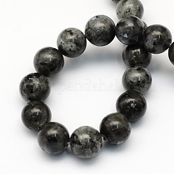 Natural Larvikite Round Beads Strands&nbsp;G-S159-4mm