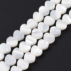 Natural Trochus Shell Beads Strands&nbsp;SSHEL-H070-06A