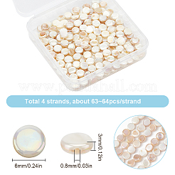 4 Strands AB Color Plated Natural Freshwater Shell Beads Strands&nbsp;BSHE-SC0001-19