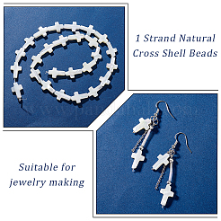 1 Strand Natural Trochid Shell/Trochus Shell Beads Strands&nbsp;SSHEL-GA0001-17
