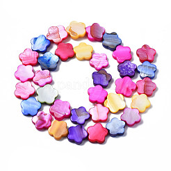 Natural Freshwater Shell Beads Strands&nbsp;SHEL-S278-021