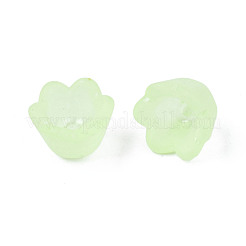 Transparent Acrylic Beads&nbsp;X-FACR-N005-001