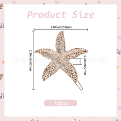 10Pcs Zinc Alloy Hair Barrettes&nbsp;PHAR-SP0001-25
