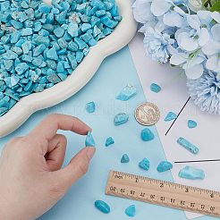 1 Pound Synthetic Turquoise Bead Decorations&nbsp;DJEW-FG0001-39