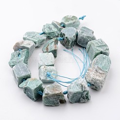 Natural Amazonite Beads Strands&nbsp;G-D833-19