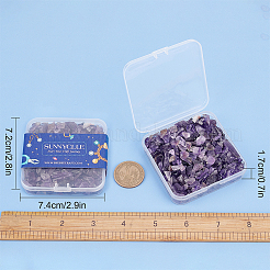 Natural Amethyst Chip Beads&nbsp;G-SC0001-81