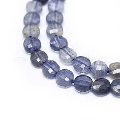 Natural Iolite Beads Strands&nbsp;G-I249-A04