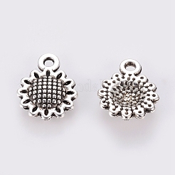 Tibetan Style Alloy Charms&nbsp;X-LF10257Y-NF