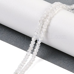 Natural Rainbow Moonstone Beads Strands&nbsp;G-F778-A06-01