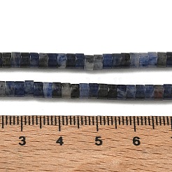 Natural Sodalite Beads Strands&nbsp;G-H230-10