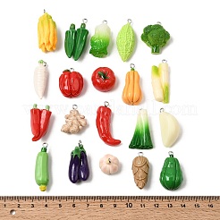 Opaque Resin Pendants&nbsp;RESI-F069-01P