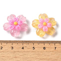 Translucent Resin Decoden Cabochons&nbsp;RESI-M041-09