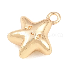 304 Stainless Steel Charms&nbsp;SA-CBA4377-02D-G