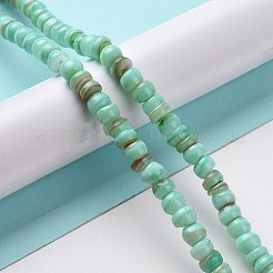 Natural Cultured Freshwater Shell Beads Strands&nbsp;SHEL-F002-01C