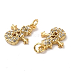 925 Sterling Silver Micro Pave Cubic Zirconia Charms&nbsp;STER-I010-40G